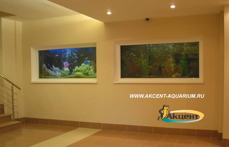 Акцент-Аквариум, аквариумы встроенные в стену объёмом 500 литров - аквапарк